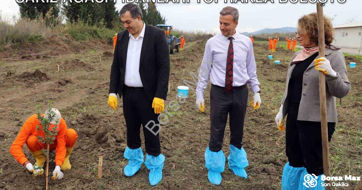 "Dalaman Cezaevi'nde Tarımsal Atılım: Sakız Ağacı Fidanları Toprakla Buluştu" başlıklı haber için fo