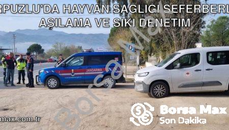 Karpuzlu’da Hayvan Sağlığı Seferberliği: Aşılama ve Sıkı Denetim