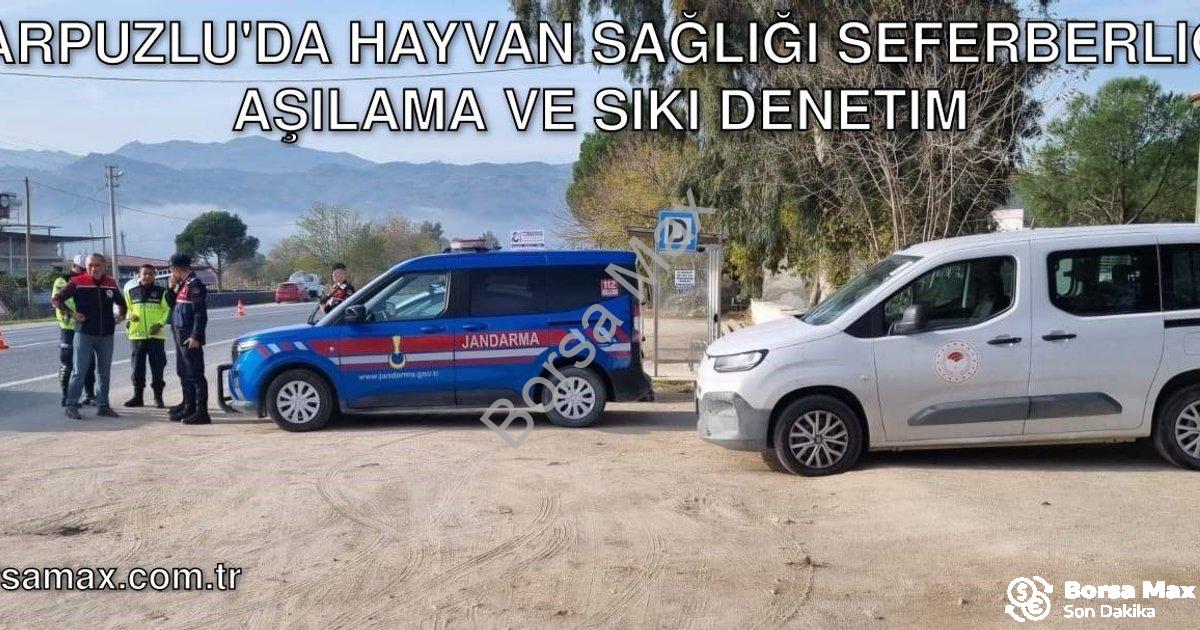 "Karpuzlu'da Hayvan Sağlığı Seferberliği: Aşılama ve Sıkı Denetim" başlıklı haber için fotorealistik