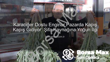 Karaciğer Dostu Enginar Pazarda Kapış Kapış Gidiyor: Şifa Kaynağına Yoğun İlgi