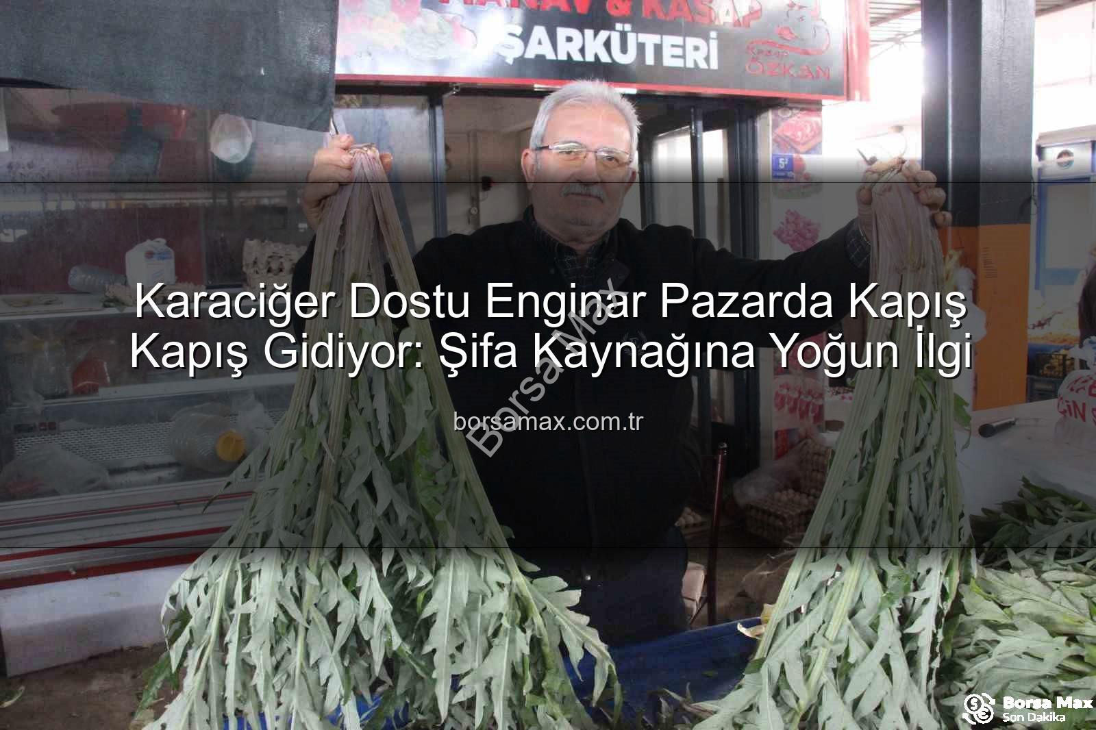karaciğer dostu enginar - Karaciğer Dostu Enginar Pazarda Kapış Kapış Gidiyor: Şifa Kaynağına Yoğun İlgi