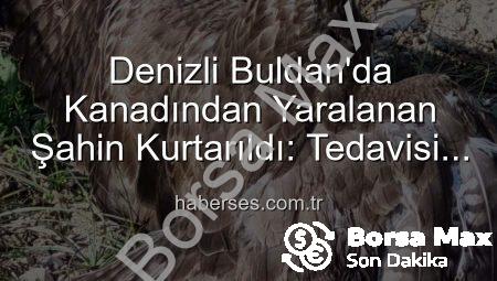 Denizli’de Kanadından Yaralanan Şahin Tedavi Altında: Doğanın Sessiz Çığlığına Kulak Verdik