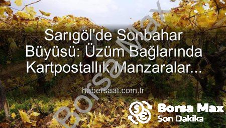 Sarıgöl’de Budama Sezonu: Doğanın Renkleri Eşliğinde Üretimin Kalbi Atıyor
