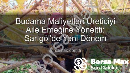 Budama Maliyetleri Üreticiyi Aile Emeğine Yöneltti: Sarıgöl’de Yeni Dönem