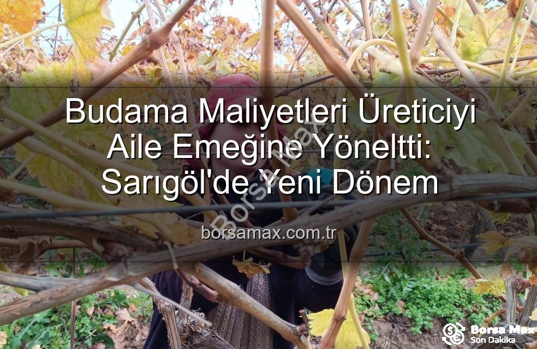 budama maliyetleri - Budama Maliyetleri Üreticiyi Aile Emeğine Yöneltti: Sarıgöl'de Yeni Dönem