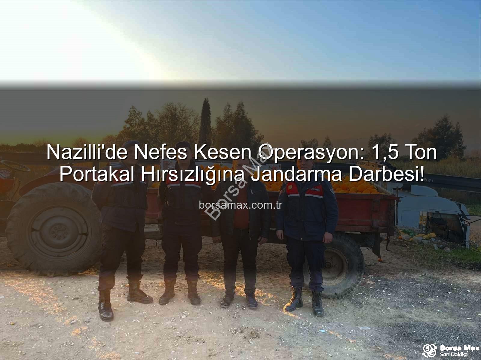 portakal hırsızlığı - Nazilli'de Nefes Kesen Operasyon: 1,5 Ton Portakal Hırsızlığına Jandarma Darbesi!