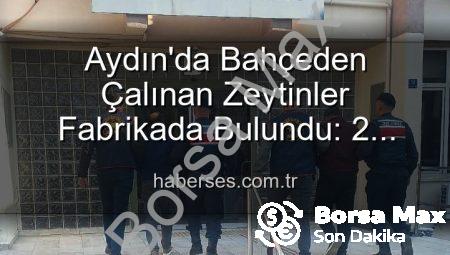 Aydın’da Zeytin Hırsızlığı: Bahçeden Fabrikaya Uzanan Zincir Kırıldı, Failler Yakalandı