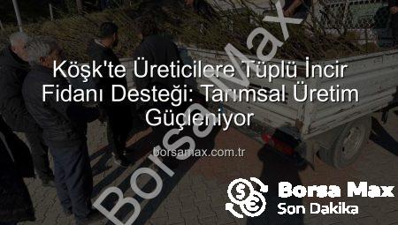 Köşk’te Üreticilere Tüplü İncir Fidanı Desteği: Tarımsal Üretim Güçleniyor