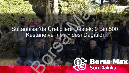 Sultanhisar’da Tarımsal Üretime Büyük Destek: Kestane ve İncir Fidesi Dağıtımıyla Çiftçiler Güneşli Yarınlara