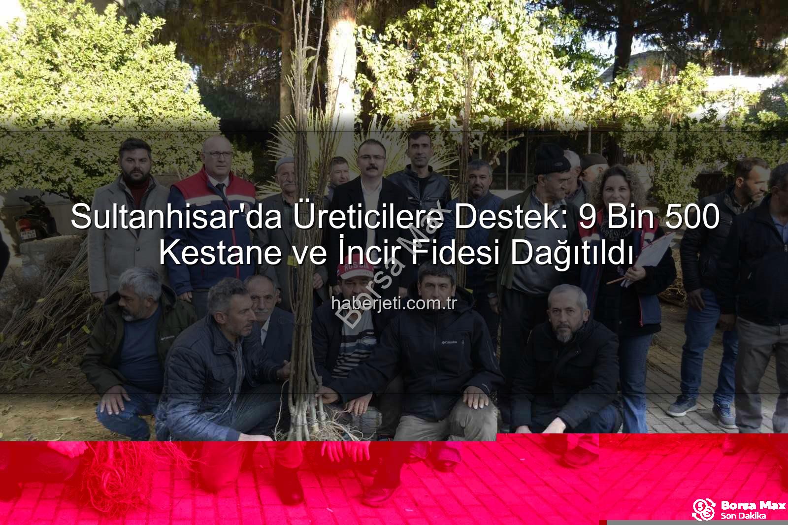 kestane incir fidesi - Sultanhisar'da Tarımsal Üretime Büyük Destek: Kestane ve İncir Fidesi Dağıtımıyla Çiftçiler Güneşli Yarınlara