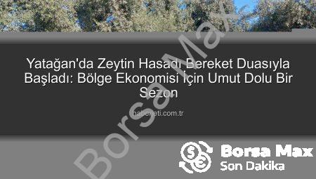 Yatağan’da Zeytin Hasadı Dualarla Başladı: Bereket ve Umut Dolu Bir Sezon Dileği