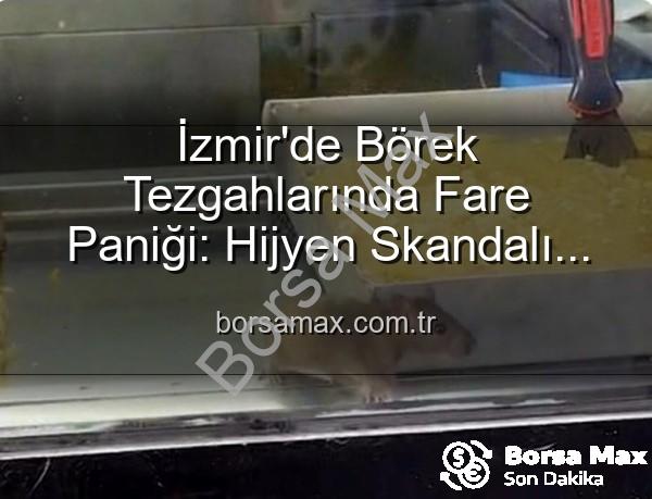 börek tezgahlarında fare - İzmir'de Börek Tezgahlarında Fare Paniği: Hijyen Skandalı İşletmeyi Mühürletti!