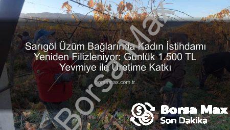 Sarıgöl Üzüm Bağlarında Kadın İstihdamı Yeniden Filizleniyor: Günlük 1.500 TL Yevmiye ile Üretime Katkı