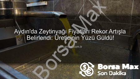 Aydın’da Zeytinyağı Fiyatları Rekor Artışla Belirlendi: Üreticinin Yüzü Güldü!