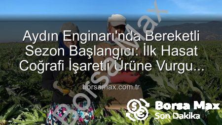 Aydın Enginarı’nda Bereketli Sezon Başlangıcı: İlk Hasat Coğrafi İşaretli Ürüne Vurgu Yaptı