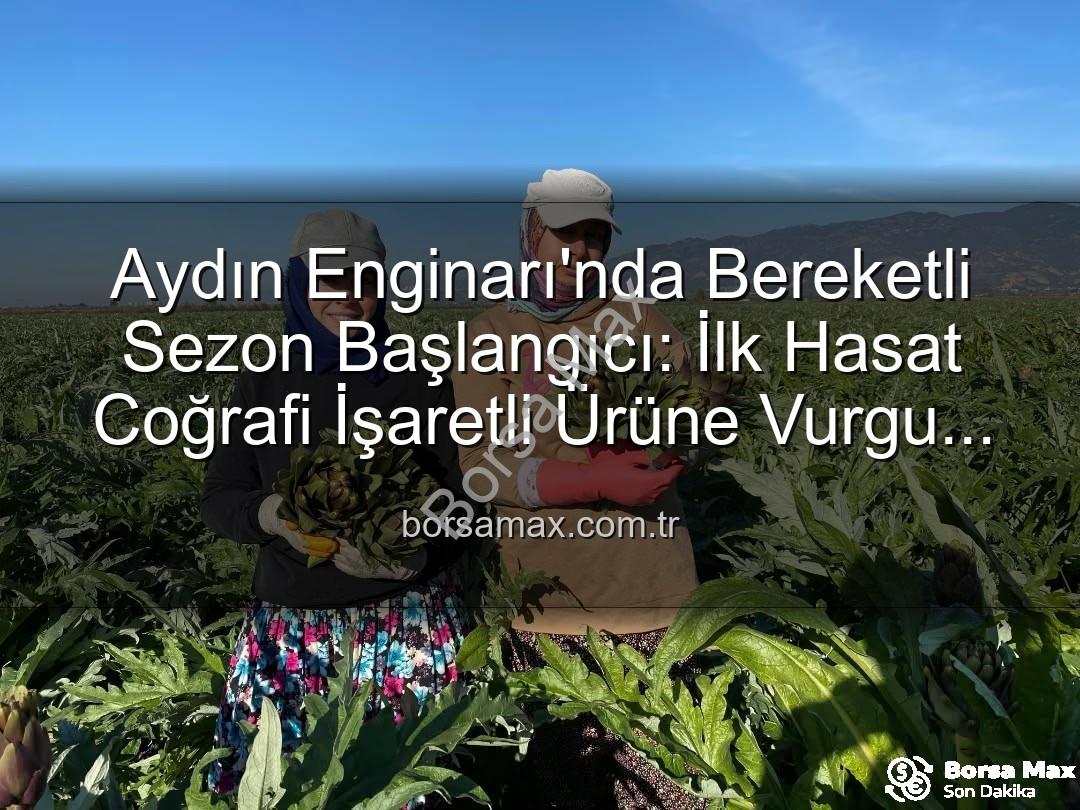 Aydın Enginarı - Aydın Enginarı'nda Bereketli Sezon Başlangıcı: İlk Hasat Coğrafi İşaretli Ürüne Vurgu Yaptı