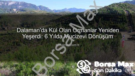 Dalaman’da Kül Olan Ormanlar Yeniden Yeşerdi: 6 Yılda Mucizevi Dönüşüm