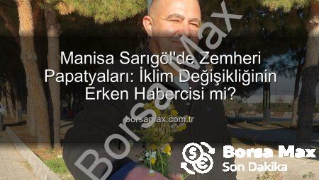 Manisa Sarıgöl’de Zemheri Papatyaları: İklim Değişikliğinin Erken Habercisi mi?